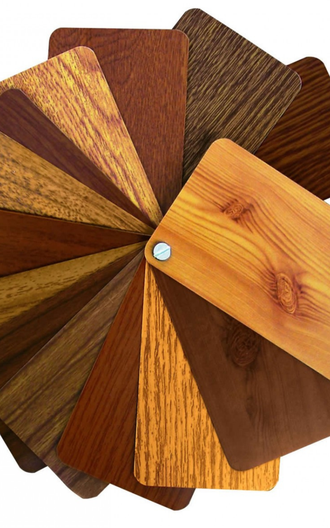 Adsız (1920 x 802 piksel) (370 x 552 piksel) (470 x 442 piksel) (323 x 322 piksel) (345 x 552 piksel) (1) (1)